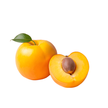 Vibrant yellow persimmon fruit, whole and halved with seed, isolated on white background. Fresh and juicy. Ideal for healthy eating concepts. png