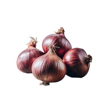 Fresh red onions isolated on white background. Perfect for cooking, salads, and adding flavor to your dishes. High-resolution stock photo. png