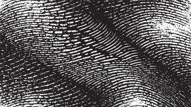 Black and White Monochrome Grunge Texture for Backgrounds vector