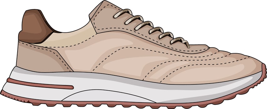 sneakers shoes for training, running shoe illustration. Sport shoes , isolated vector