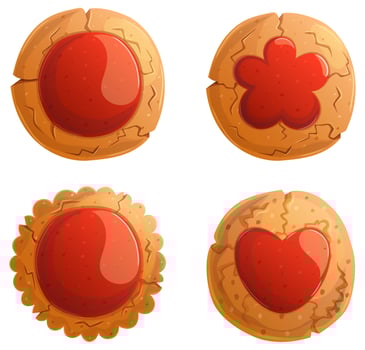 Handmade traditional crispy cookies with jelly set. Sweet shop design elements collection isolated on white. vector