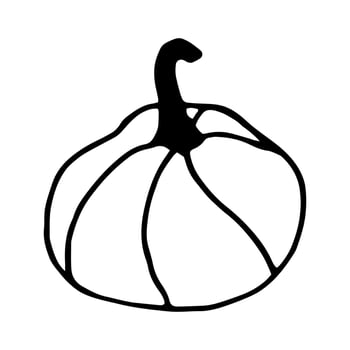 Single hand drawn pumpkin for greeting cards, posters, recipe, culinary design. Isolated on white background. Doodle illustration. vector