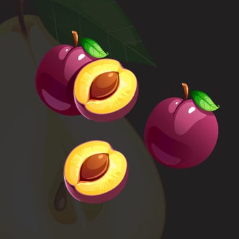 Purple Juicy Bright Fresh Ripe Plum vector
