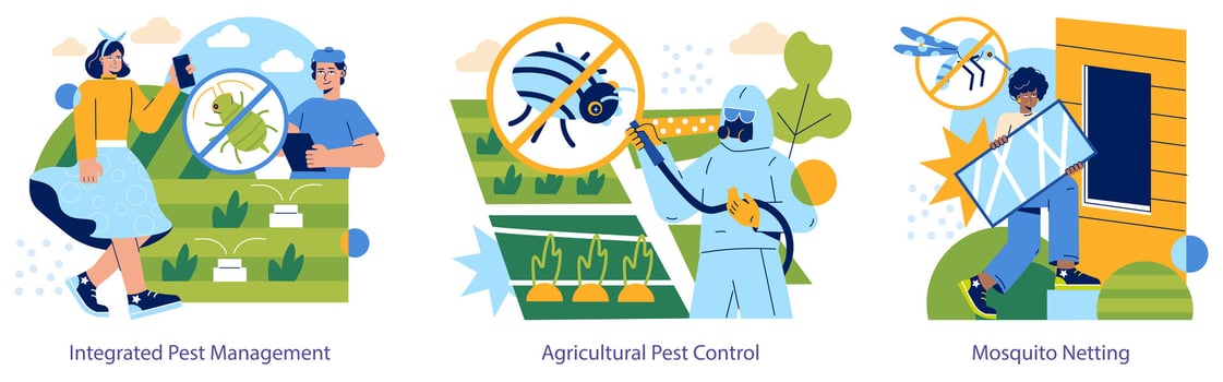 Insect Pests. Flat Illustration vector