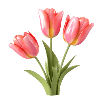 Tulip flowers on transparent background png