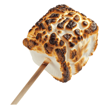 Roasted marshmallow on stick alone against transparent background png