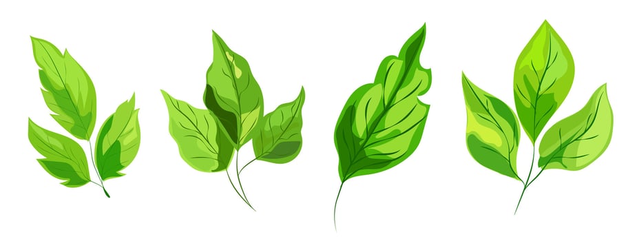 featuring eight different types of green leaves. Each leaf showcases unique shapes and vein patterns. graphic, clean, and vibrant, ideal for nature, eco-friendly projects vector