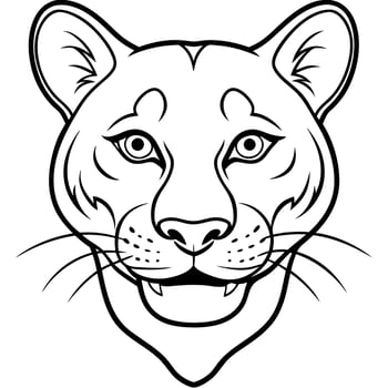 Cougar leopard smiles icon vector
