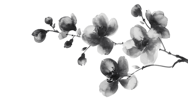 A black flowers branch delicately painted in watercolor, isolated on a transparent background png