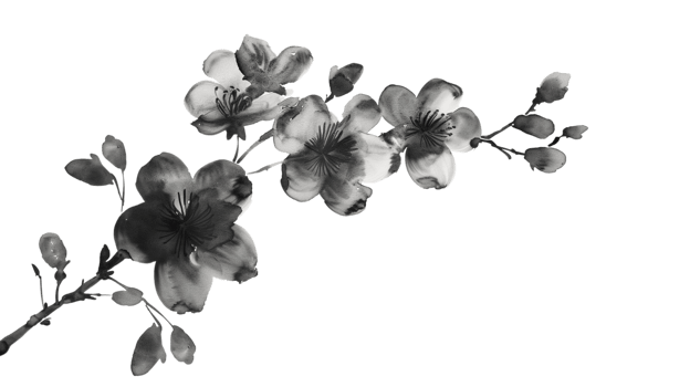 A black flowers branch delicately painted in watercolor, isolated on a transparent background png