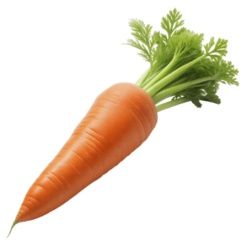 Fresh orange carrot with green leaves on a transparent background png