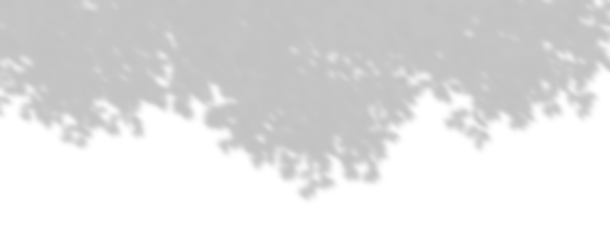 Shadow sunshade trees leaves top composition cutout transparent backgrounds 3d rendering png