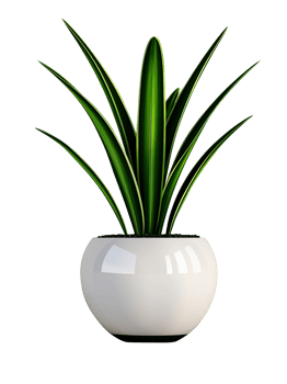 Plant in pot, Modern planter with a large snake plant, minimalist style, elegant and sleek mood, soft indoor light png