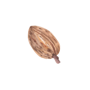 Almonds in the Shell Watercolor kernel botanical illustrations with nutshell. Organic vegetarian Food. Healthy harvest unpeeled fruit clipart on isolated background for snack product, cosmetic, label. png