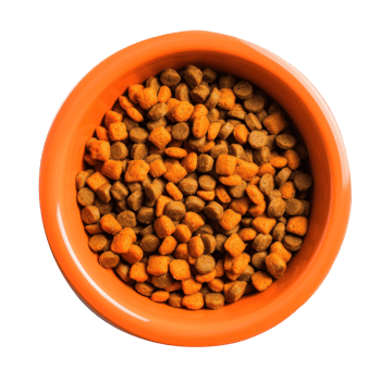 dog food in a metal bowl on transparent background png