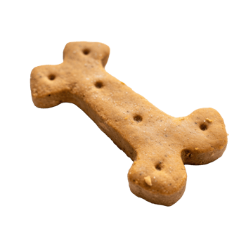 dog food in a metal bowl on transparent background png