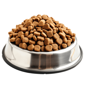 dog food in a metal bowl on transparent background png