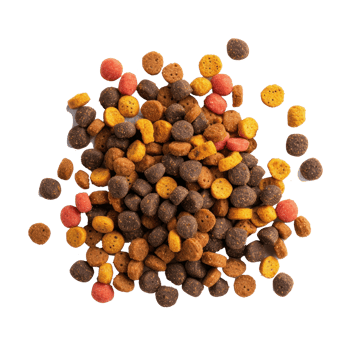 dog food in a bowl on a transparent background png