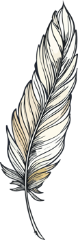 feather illustration isolated on transparent background. png