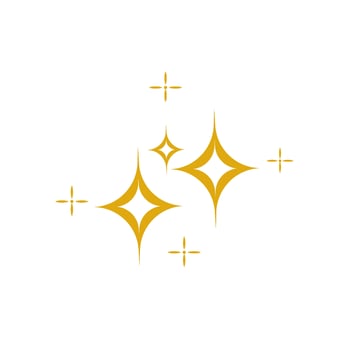 Star bright icon vector