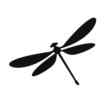 Dragonfly silhouette isolated, fly insects icon, transparent background png