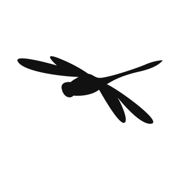 Dragonfly silhouette isolated, fly insects icon, transparent background png