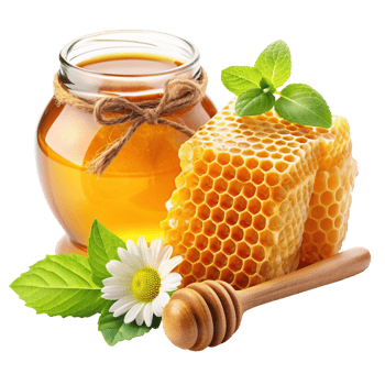 Honey and Honeycomb Realistic Concept png