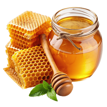 Honey and Honeycomb Realistic Image png
