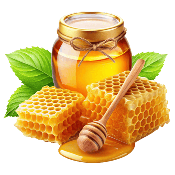 Honey and Honeycomb Realistic Design png