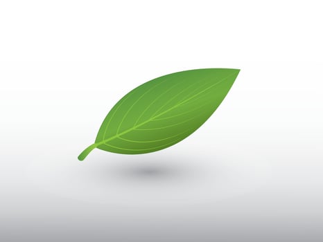 A green leaf logo with shadow on light background illustration vector