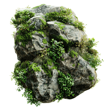 Large rocks covered in vibrant green moss, surrounded by lush foliage, isolated on a transparent background png