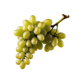 Plump and Juicy A bunch of Fresh Grapes Isolated on a Transparent Background png