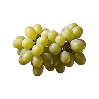 Vineyard Fresh A bunch of Grapes Fruit Isolated on a Transparent Background png