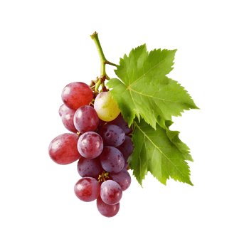 Grape Delight A bunch of Fresh Grapes Fruit Isolated on a Transparent Background png