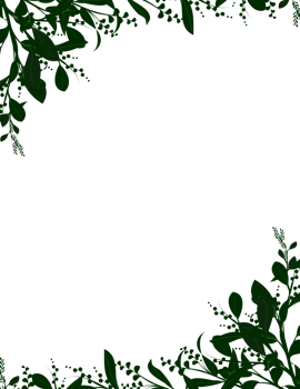 botanical border illustration frame png