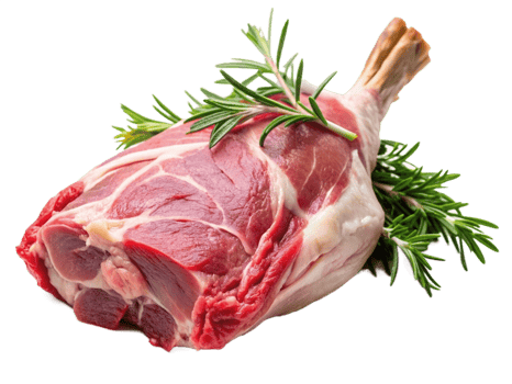 High Quality Realistic Fresh Raw Meat Isolated on Transparent Background png