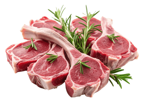 High Quality Realistic Fresh Raw Meat Isolated on Transparent Background png