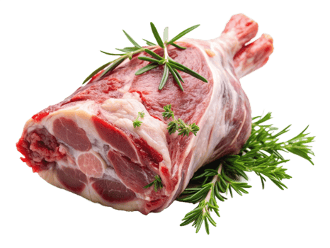 High Quality Realistic Fresh Raw Meat Isolated on Transparent Background png