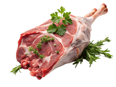 High Quality Realistic Fresh Raw Meat Isolated on Transparent Background png