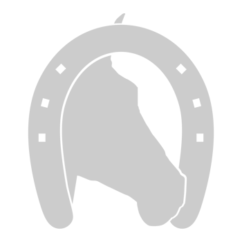 Head Horse in the Horseshoe Silhouette, Flat Style, Can use For Icon, Symbol, Logo Gram, Art Illustration, Pictogram, Apps, Website, or Graphic Design Element png