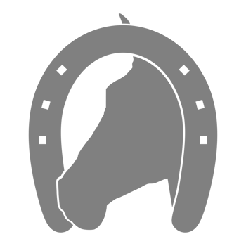 Head Horse in the Horseshoe Silhouette, Flat Style, Can use For Icon, Symbol, Logo Gram, Art Illustration, Pictogram, Apps, Website, or Graphic Design Element png