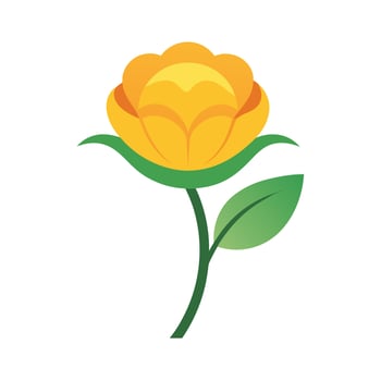 Beautiful Flower Minimalist Floral Illustration vector