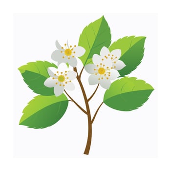 Beautiful Flower Minimalist Floral Illustration vector