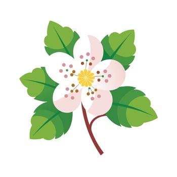 Beautiful Flower Minimalist Floral Illustration vector
