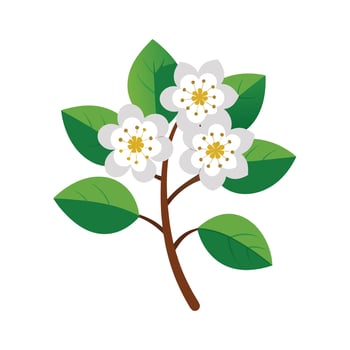 Beautiful Flower Minimalist Floral Illustration vector