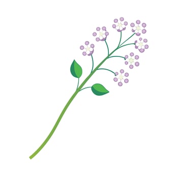 Beautiful Flower Minimalist Floral Illustration vector