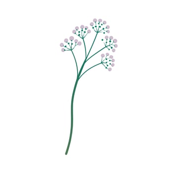 Beautiful Flower Minimalist Floral Illustration vector