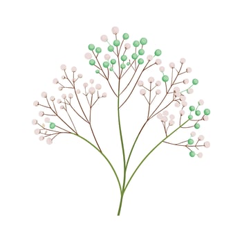 Beautiful Flower Minimalist Floral Illustration vector