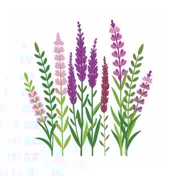Beautiful Flower Minimalist Floral Illustration vector