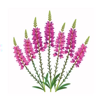 Beautiful Flower Minimalist Floral Illustration vector